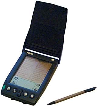 palm320